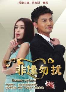 工口糯米姬–与尼酱的模拟SEX [14P 6V/810M]